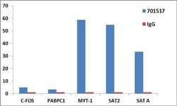 Invitrogen Histone H3 Recombinant Rabbit Monoclonal Antibody (24HC2 LC12)