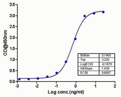 Invitrogen EGF Recombinant Rabbit Monoclonal Antibody (3H11L6) 100 &mu;g;