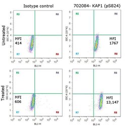 Invitrogen Phospho-TRIM28 (Ser824) Recombinant Rabbit Monoclonal Antibody