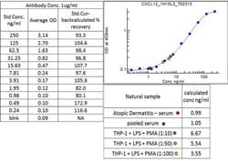Invitrogen CXCL12 Recombinant Rabbit Monoclonal Antibody (1H15L3) 100 &mu;g;
