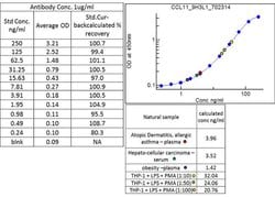 Invitrogen Eotaxin Recombinant Rabbit Monoclonal Antibody (9H3L1) 100 &mu;g;