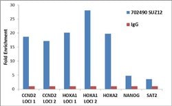 Invitrogen SUZ12 Recombinant Rabbit Monoclonal Antibody (7H26L21) 100 &mu;g;