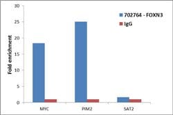 Invitrogen FOXN3 Recombinant Rabbit Monoclonal Antibody (1H2L8) 100 &mu;g;