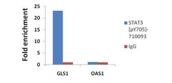 Invitrogen Phospho-STAT3 (Tyr705) Recombinant Superclonal Antibody (3HCLC)