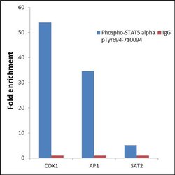Invitrogen Phospho-STAT5 alpha (Tyr694) Recombinant Superclonal Antibody