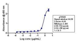 Invitrogen p70 S6 Kinase Recombinant Superclonal Antibody (15HCLC) 100
