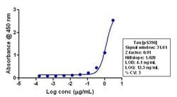 Phospho-Tau (Ser396) Recombinant Polyclonal Antibody (5HCLC), Invitrogen&trade;