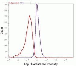 Invitrogen CD56 Recombinant Superclonal Antibody (3HCLC) 100 &mu;g; Unconjugated:Antibodies,