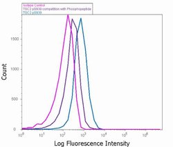 Invitrogen Phospho-TSC2 (Ser939) Recombinant Superclonal Antibody (23HCLC) 100 &mu;g | Buy Online | Invitrogen&trade; | Fisher Scientific