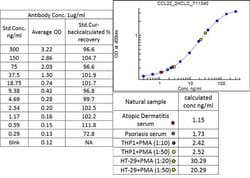 MDC Recombinant Polyclonal Antibody, Invitrogen 100 &mu;g; Unconjugated:Antibodies,