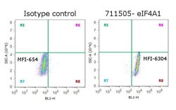 Invitrogen eIF4A1 Recombinant Superclonal Antibody 100 &mu;g; Unconjugated:Antibodies,