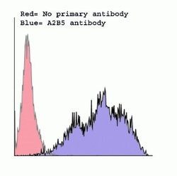 Invitrogen&trade;&nbsp;A2B5 Monoclonal Antibody (105)