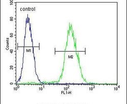 ABHDB Rabbit anti-Human, Polyclonal, Invitrogen 400 &mu;L; Unconjugated:Antibodies,