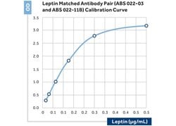 Invitrogen Leptin Monoclonal Antibody (3) 400 &mu;L; Unconjugated:Antibodies,