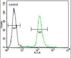 ACAP3 Rabbit anti-Human, Polyclonal, Invitrogen 400 &mu;L; Unconjugated:Antibodies,