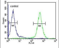 MCAD Rabbit anti-Human, Polyclonal, Invitrogen 400 &mu;L; Unconjugated:Antibodies,