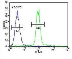 ACF Rabbit anti-Human, Polyclonal, Invitrogen 400 &mu;L; Unconjugated:Antibodies,