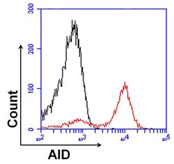 Invitrogen AID Monoclonal Antibody (1AID-2E11) 50 &mu;L; Unconjugated:Antibodies,