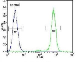 APC5 Rabbit anti-Human, Polyclonal, Invitrogen 400 &mu;L; Unconjugated:Antibodies,