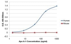 Invitrogen ApoA1 Monoclonal Antibody (6001) 100 &mu;g; Unconjugated:Antibodies,