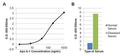 Invitrogen ApoA1 Monoclonal Antibody (6001) 100 &mu;g; Unconjugated:Antibodies,