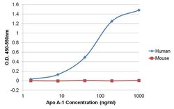 Invitrogen ApoA1 Monoclonal Antibody (513) 1 mg; Unconjugated:Antibodies,