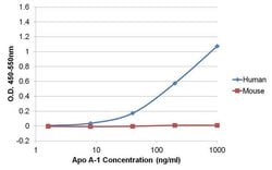 Invitrogen ApoA1 Monoclonal Antibody (513) 1 mg; Unconjugated:Antibodies,