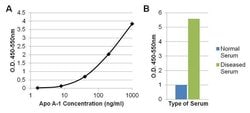 Invitrogen ApoA1 Monoclonal Antibody (513) 1 mg; Unconjugated:Antibodies,