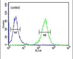 CD57 Rabbit anti-Human, Polyclonal, Invitrogen 400 &mu;L; Unconjugated:Antibodies,