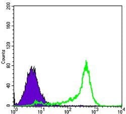 Invitrogen Bcl-2 Monoclonal Antibody (8E12) 100 &mu;L; Unconjugated:Antibodies,