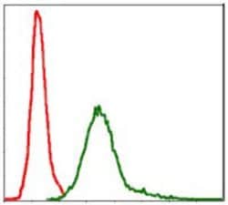 Invitrogen Survivin Monoclonal Antibody (1H5) 100 &mu;g; Unconjugated:Antibodies,