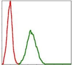 Invitrogen BMI-1 Monoclonal Antibody (3E3) 100 &mu;L; Unconjugated:Antibodies,