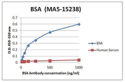Invitrogen Bovine Serum Albumin Monoclonal Antibody (3H6) 100 &mu;g; Unconjugated:Antibodies,
