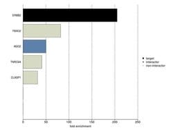 ErbB2 (HER-2) Monoclonal Antibody (3B5), Invitrogen 500 &mu;L; Unconjugated:Antibodies