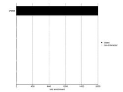 ErbB4 Monoclonal Antibody (H4.77.16 (Ab77)), Invitrogen 500 &mu;L; Unconjugated:Antibodies,