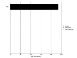 NFkB p65 Recombinant Polyclonal Antibody (4-2HCLC), Invitrogen 100 &mu;g;