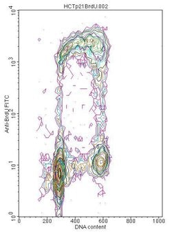 Invitrogen&trade;&nbsp;BrdU Monoclonal Antibody (IIB5)