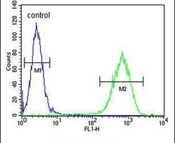 C6orf70 Rabbit anti-Human, Polyclonal, Invitrogen 400 &mu;L; Unconjugated:Antibodies,