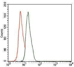 Invitrogen CBX8 Monoclonal Antibody (9C3D4) 100 &mu;g; Unconjugated:Antibodies,