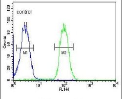 TMEM30B Rabbit anti-Human, Polyclonal, Invitrogen 400 &mu;L; Unconjugated:Antibodies,