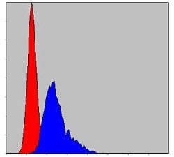 Invitrogen TCP-1 beta Monoclonal Antibody (5B5C4) 100 &mu;L; Unconjugated:Antibodies,
