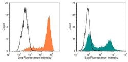 Invitrogen CD11b Monoclonal Antibody (M1/70.15), FITC 300 &mu;g; FITC:Antibodies,