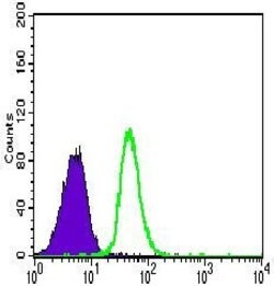Invitrogen VE-cadherin Monoclonal Antibody (3D5C7) 100 &mu;g; Unconjugated:Antibodies,