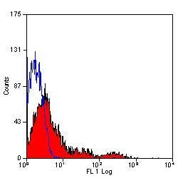 Invitrogen CD20 Monoclonal Antibody (2H7) 200 &mu;g; Unconjugated:Antibodies,
