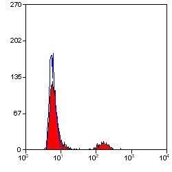 Invitrogen CD20 Monoclonal Antibody (2H7) 200 &mu;g; Unconjugated:Antibodies,