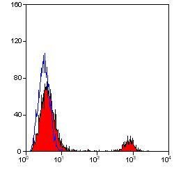 Invitrogen CD20 Monoclonal Antibody (2H7) 200 &mu;g; Unconjugated:Antibodies,