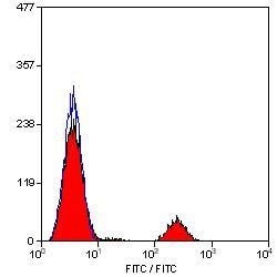 Invitrogen CD20 Monoclonal Antibody (2H7) 200 &mu;g; Unconjugated:Antibodies,
