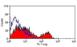 Invitrogen CD3e Monoclonal Antibody (145-2C11) 250 &mu;g; Unconjugated:Antibodies,