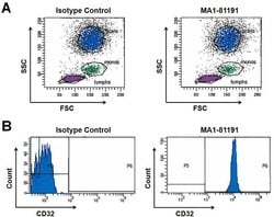 Invitrogen&trade;&nbsp;CD32 Monoclonal Antibody (AT10)