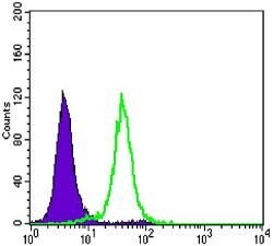 Invitrogen E-cadherin Monoclonal Antibody (7H12) 100 &mu;L; Unconjugated:Antibodies,